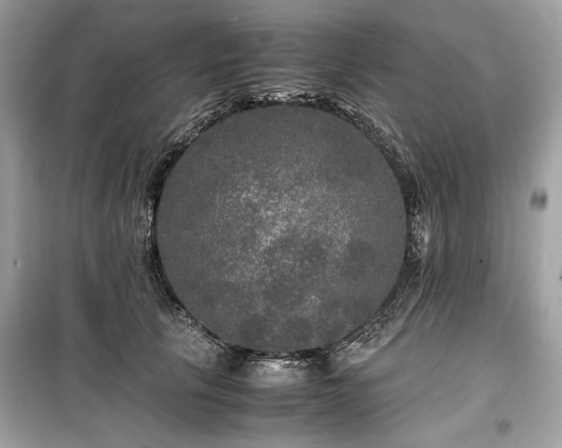 X0000099410657200805161023