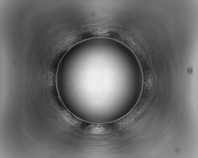 X0000099410658200805161023