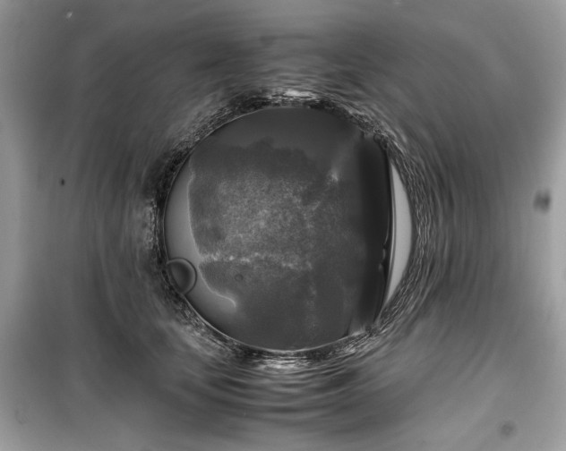 X0000099410659200805161023