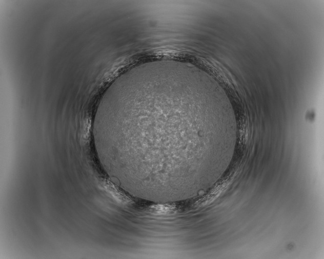 X0000099410660200805161023