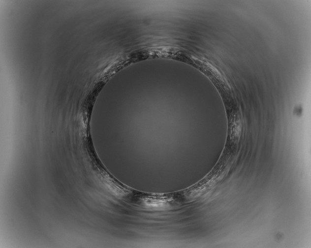 X0000099410661200805161023
