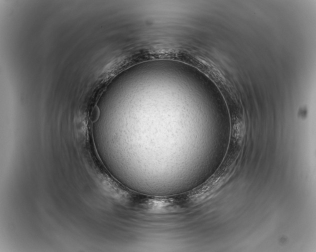 X0000099410662200805161023