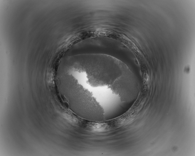 X0000099410663200805161023