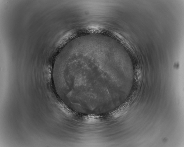 X0000099410664200805161023