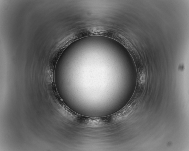 X0000099410666200805161023