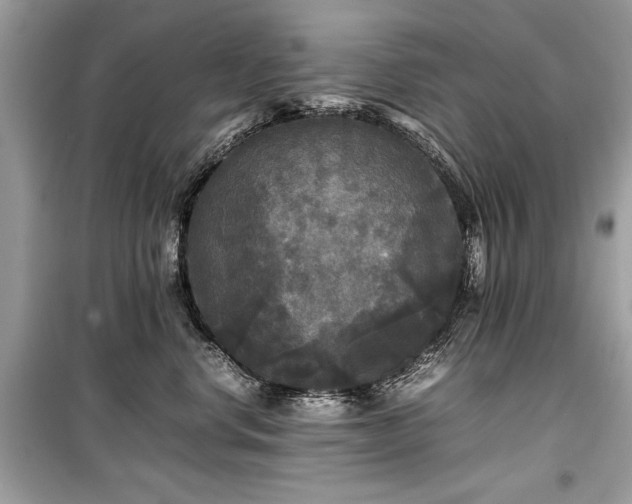 X0000099410668200805161023