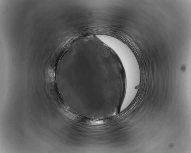 X0000099410669200805161023