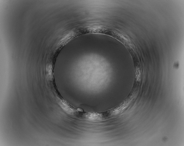 X0000099410670200805161023