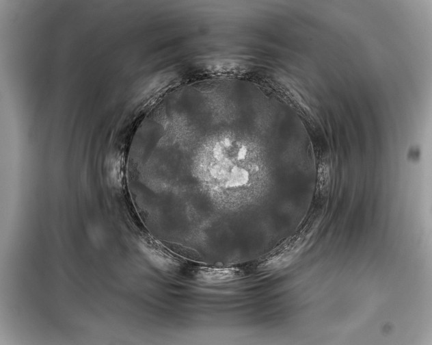 X0000099410671200805161023