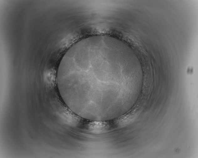X0000099410672200805161023
