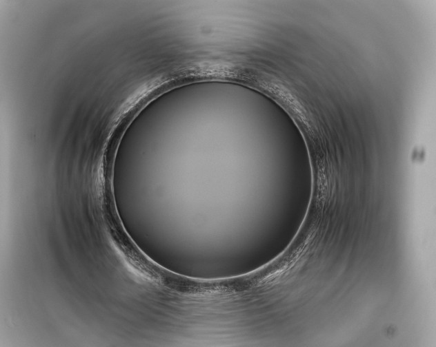 X0000099410674200805161022
