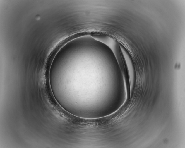 X0000099410676200805161022
