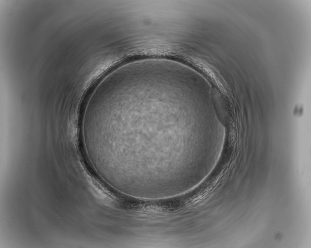 X0000099410677200805161022