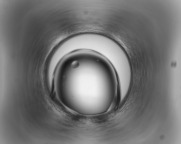 X0000099410679200805161022
