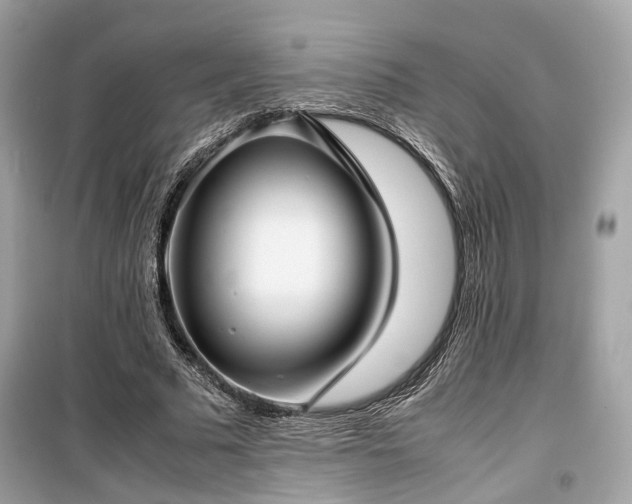 X0000099410681200805161022