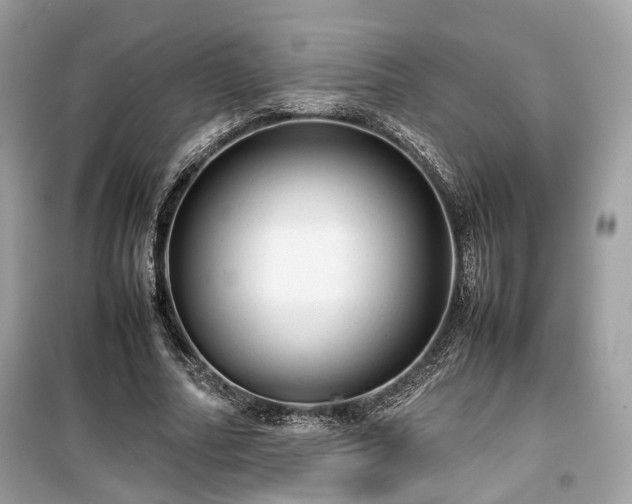 X0000099410682200805161022