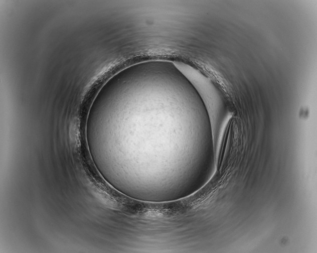 X0000099410684200805161022