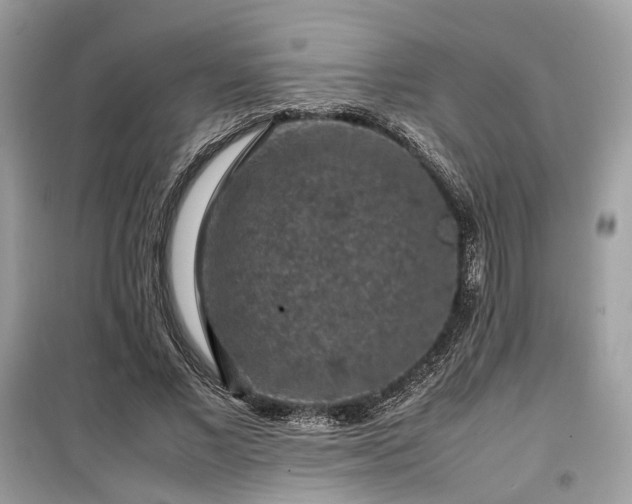 X0000099410685200805161022