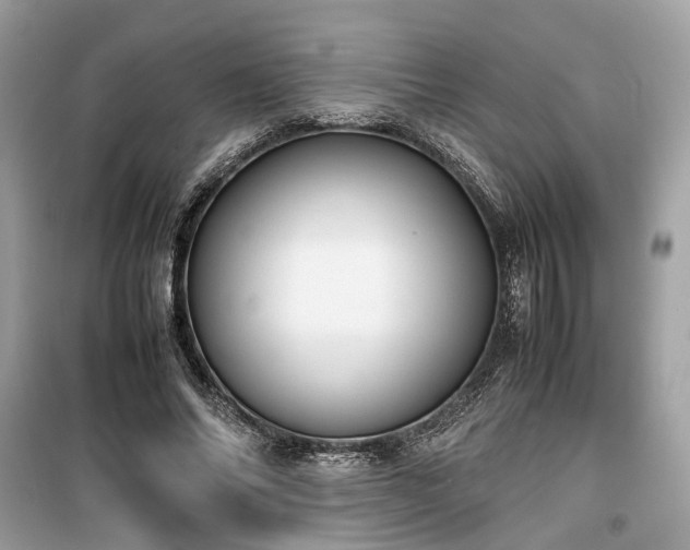 X0000099410686200805161022