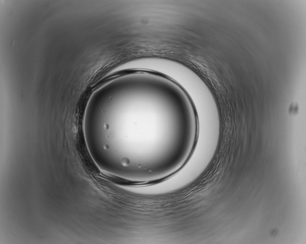 X0000099410691200805161022