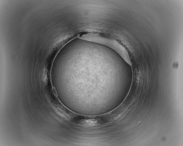 X0000099410692200805161022