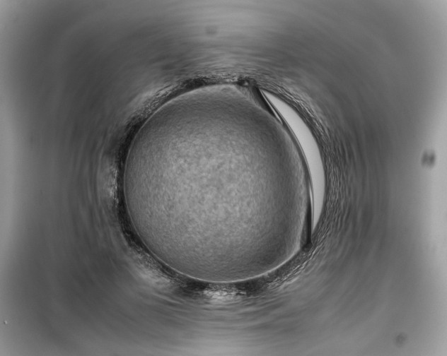 X0000099410693200805161022