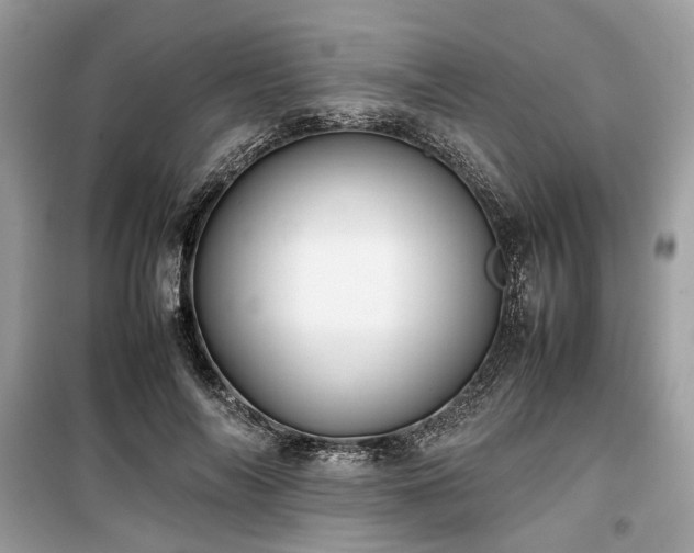 X0000099410694200805161022