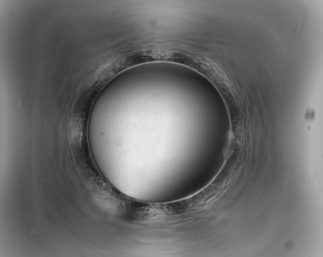 X0000099410697200805161022