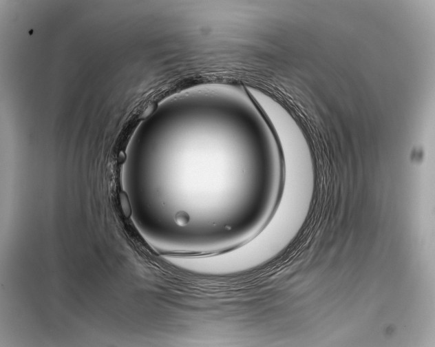 X0000099410699200805161022