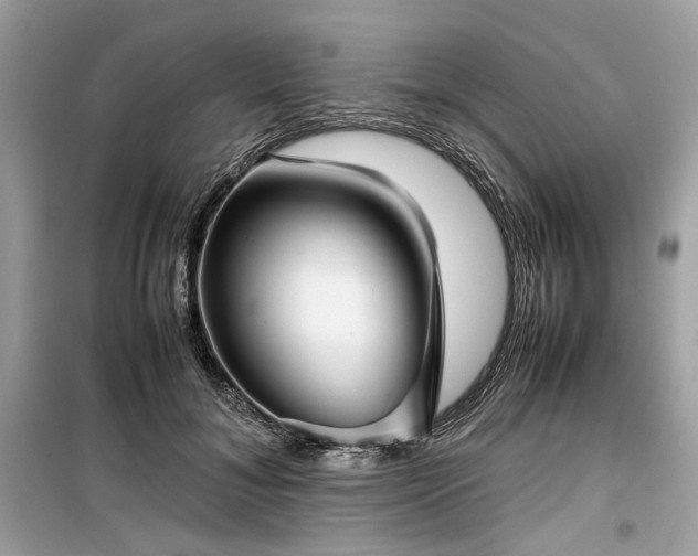 X0000099410700200805161022