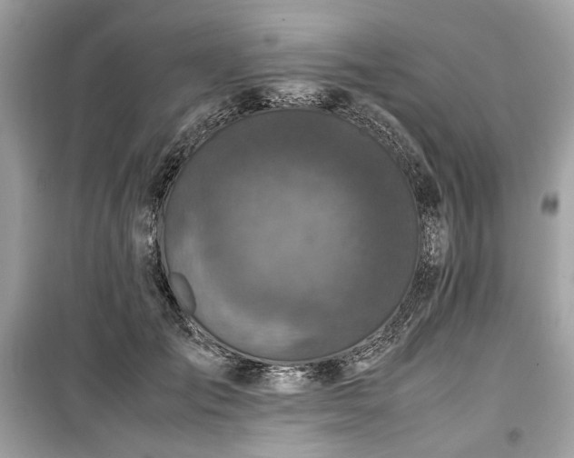 X0000099410701200805161022