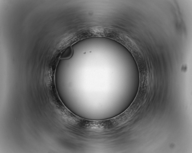 X0000099410702200805161022