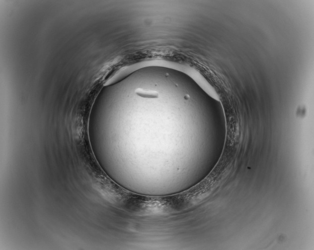 X0000099410704200805161022