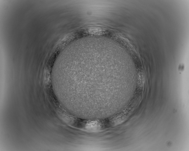 X0000099410705200805161022