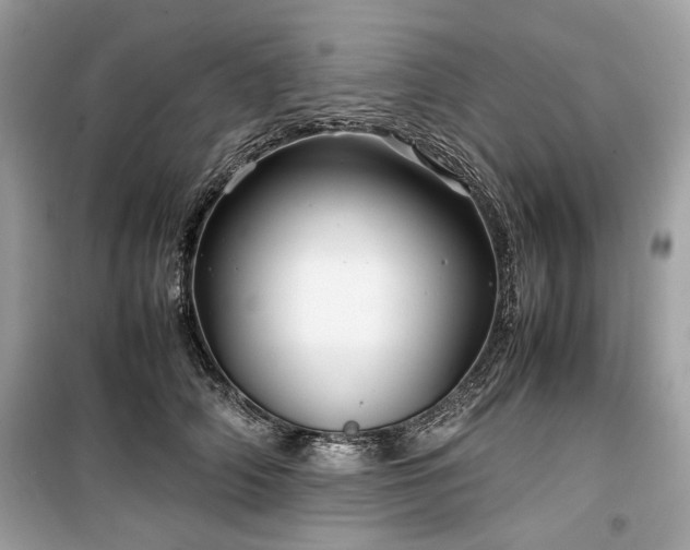 X0000099410706200805161022