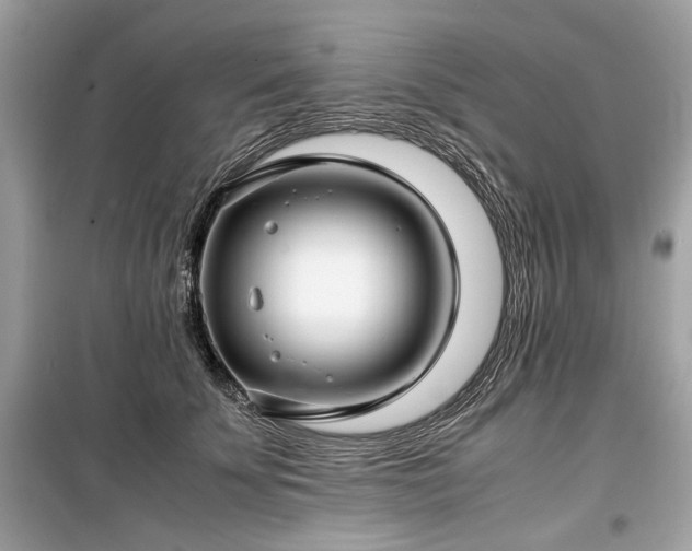X0000099410707200805161022