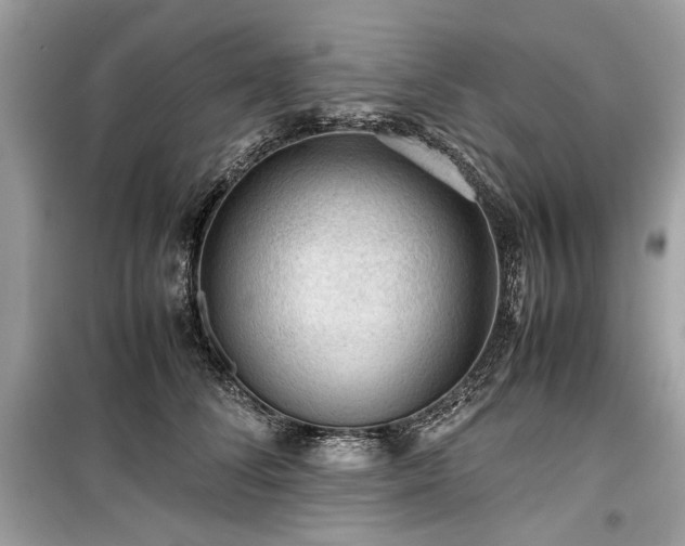 X0000099410708200805161022