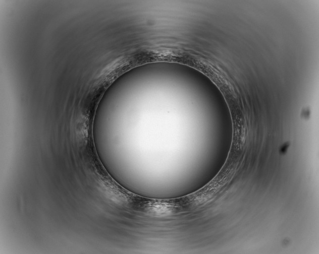 X0000099410710200805161022