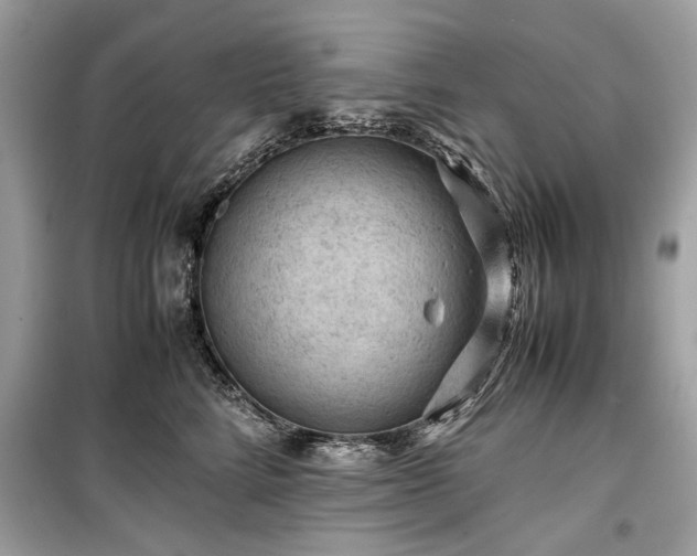 X0000099410712200805161022