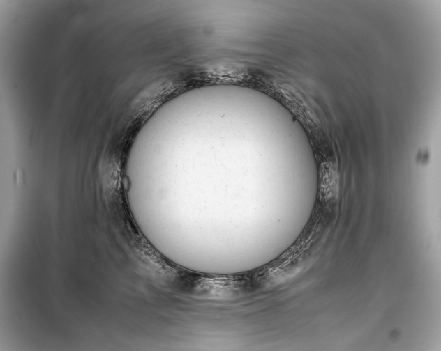 X0000099410713200805161022