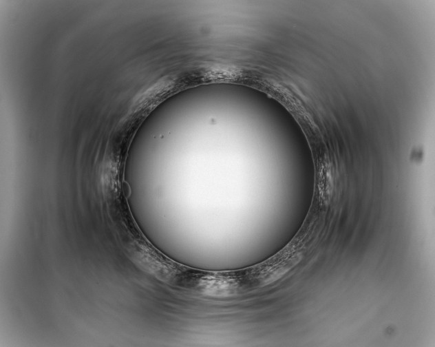 X0000099410714200805161021