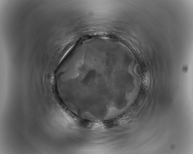 X0000099410715200805161021
