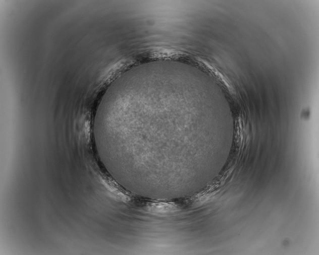X0000099410716200805161021