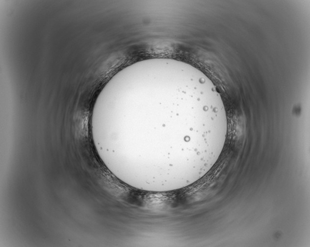 X0000099410717200805161021