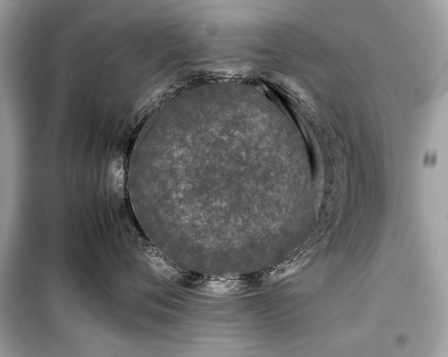 X0000099410720200805161021