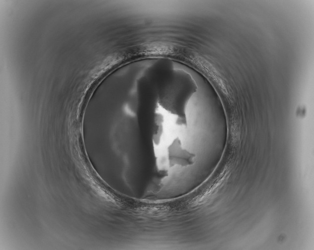 X0000099410721200805161021