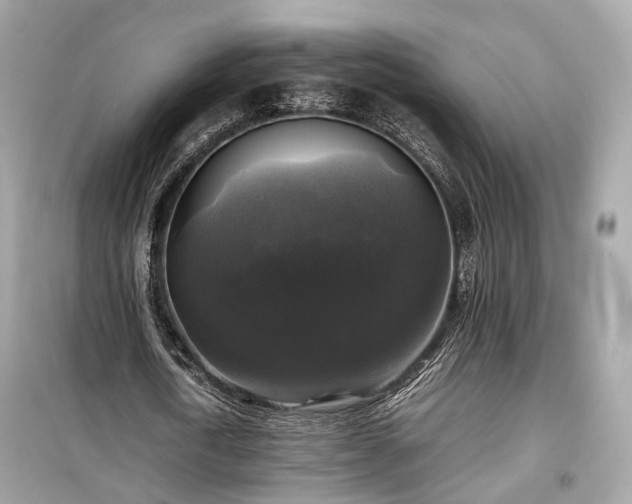 X0000099410722200805161021