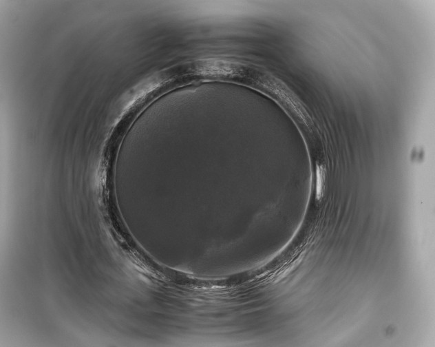 X0000099410723200805161021