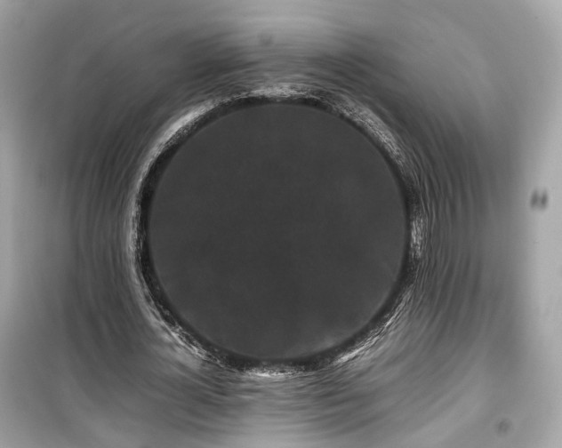 X0000099410724200805161021