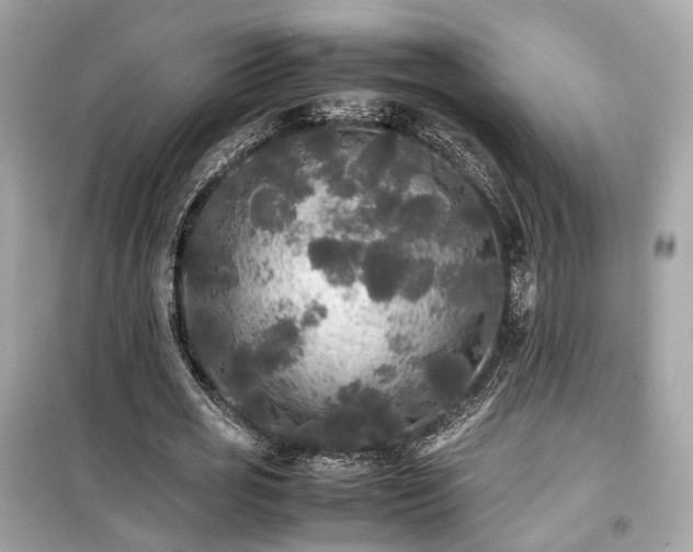 X0000099410725200805161021